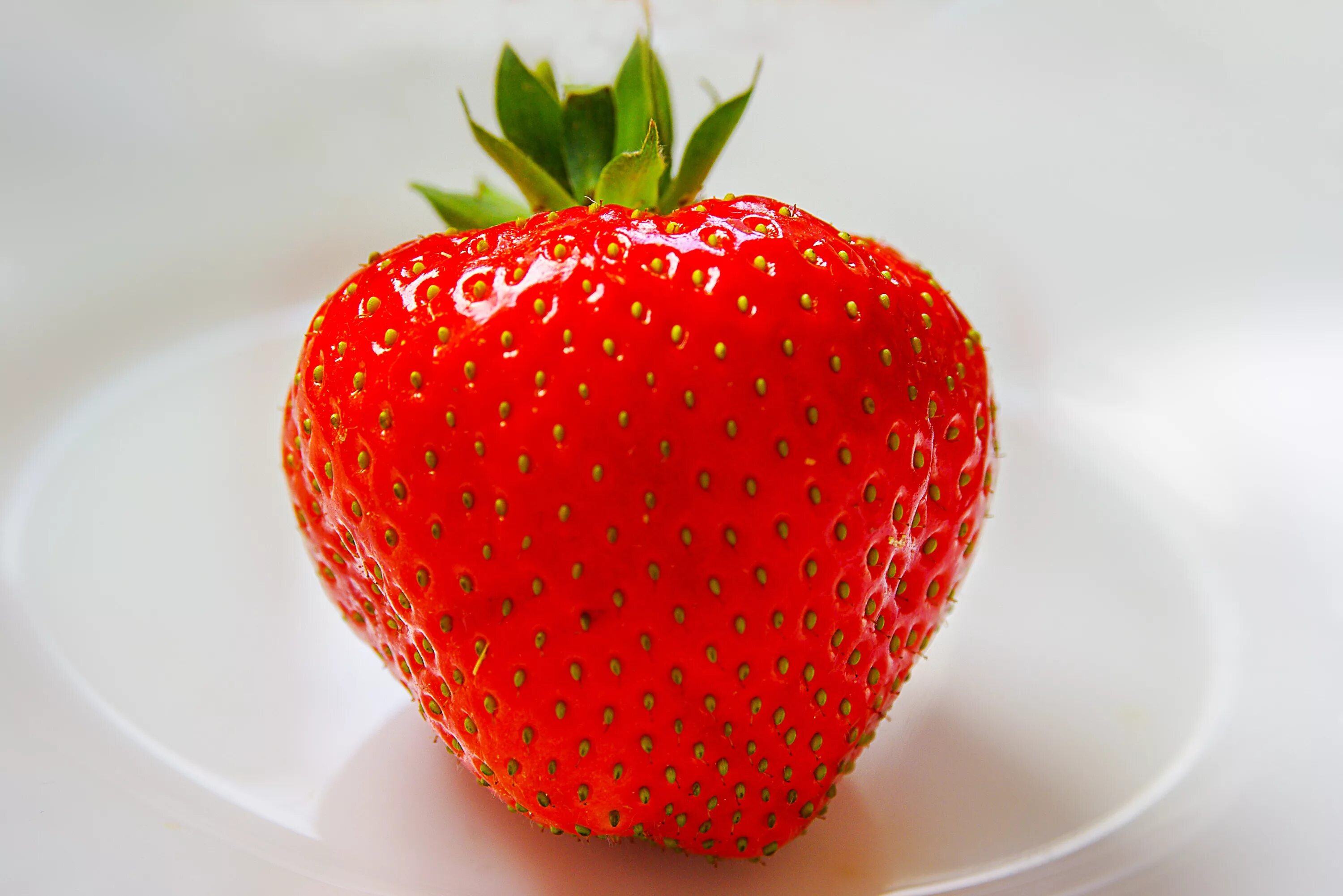 Клубника фото Wallpaper : food, red, fruit, strawberries, plant, berry, strawberry, petal, pro