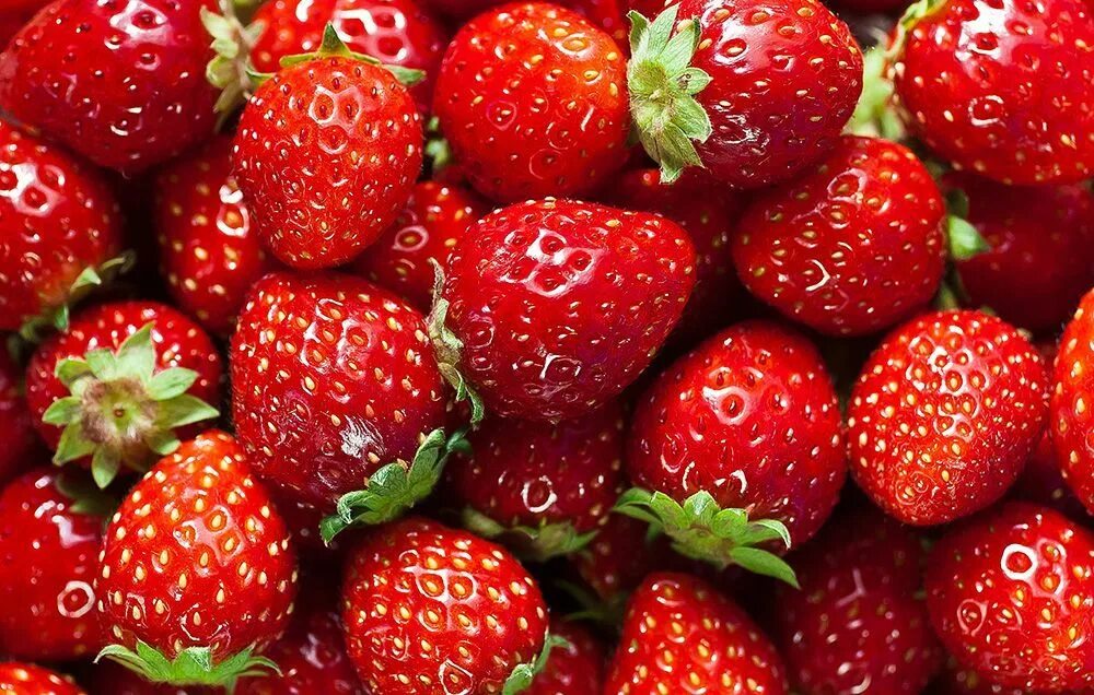 Клубника фото Everything You've Ever Wanted To Know About Strawberries Strawberry, Growing str