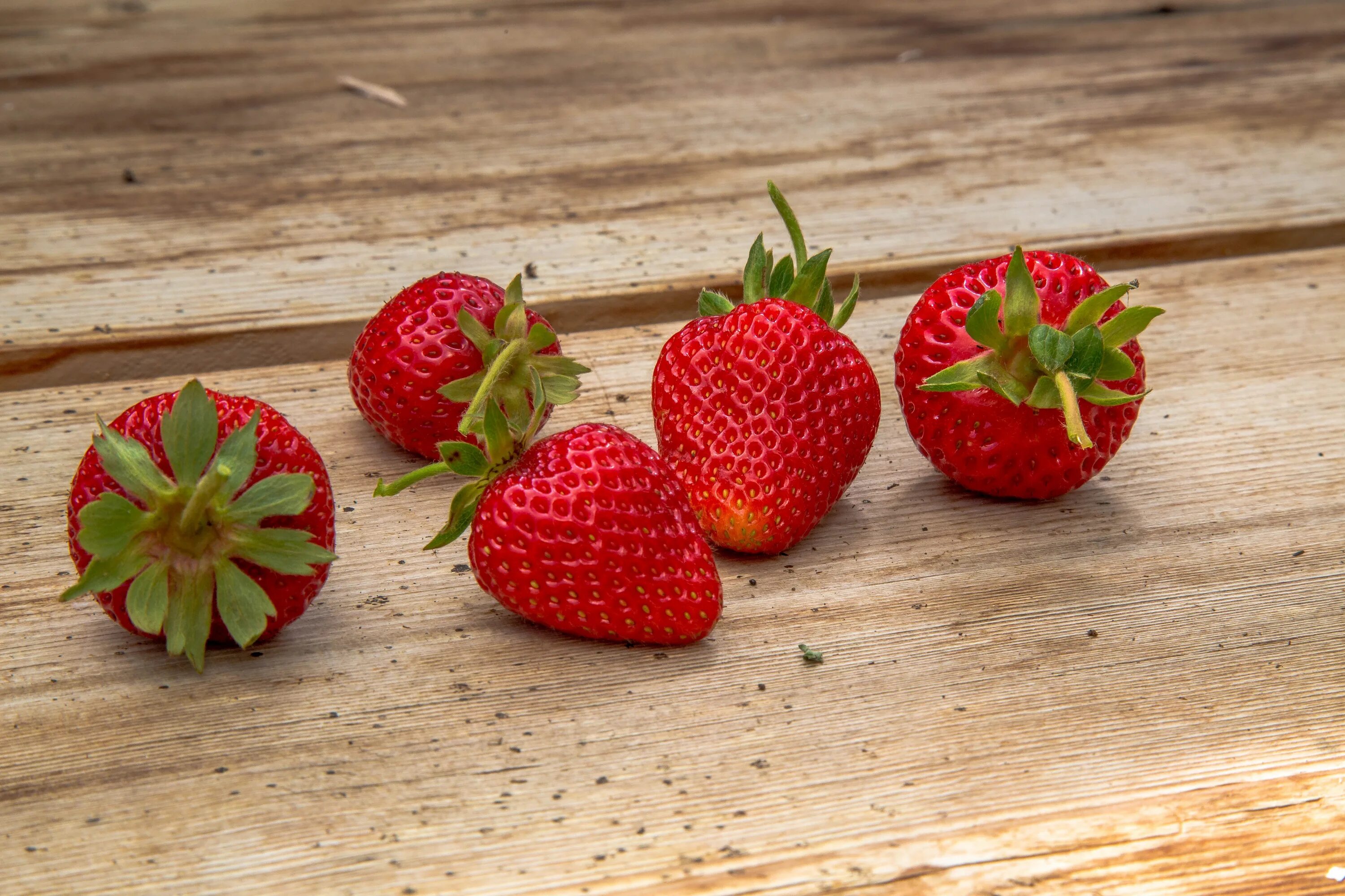 Клубника фото ягода на столе лежит Download wallpaper close-up, Board, strawberry, berry, red, section food in reso