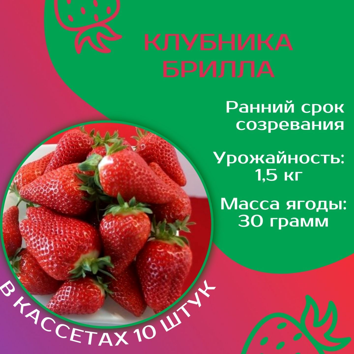 Клубника и описание фото отзывы садоводов Характеристики Шебекенский Семена, подробное описание товара. Интернет-магазин O