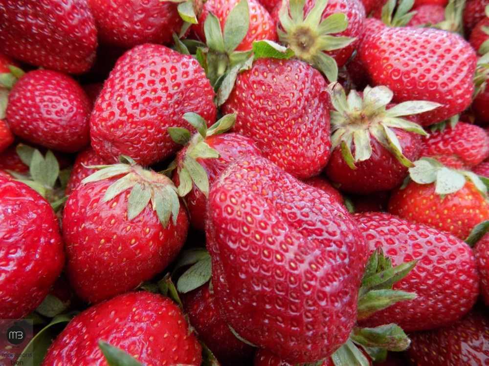 Клубника кабрилло фото Сорт клубники кабрилло фото