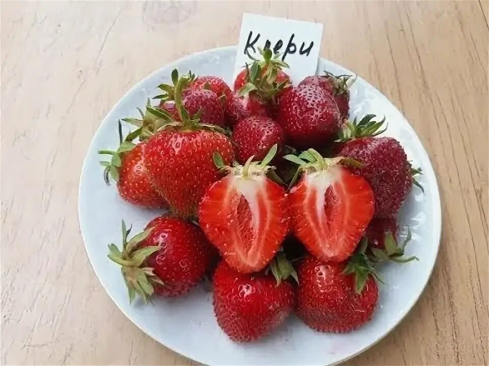 Клубника клэри описание сорта фото отзывы садоводов Клери - клубника, описание сорта (Итальянский сорт) - YouTube