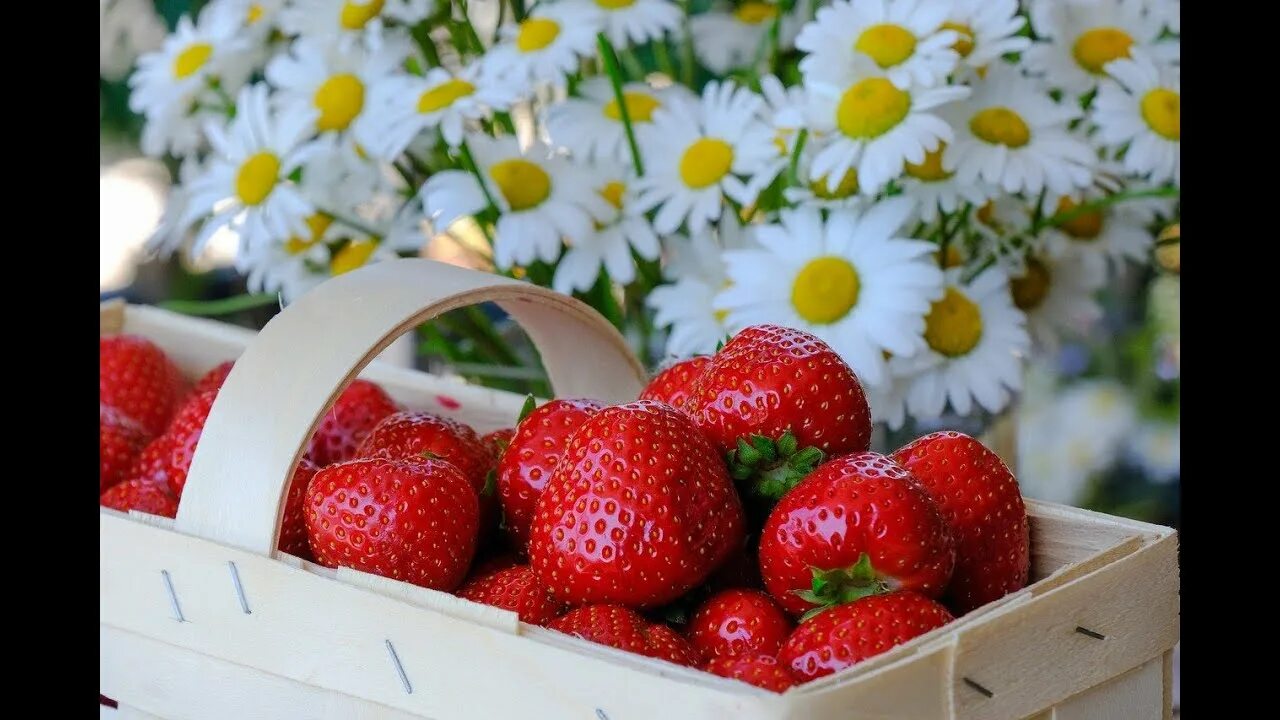 Клубника летом фото How To Dehydrate Strawberries #FoodFAQ CaribbeanPot.com - YouTube