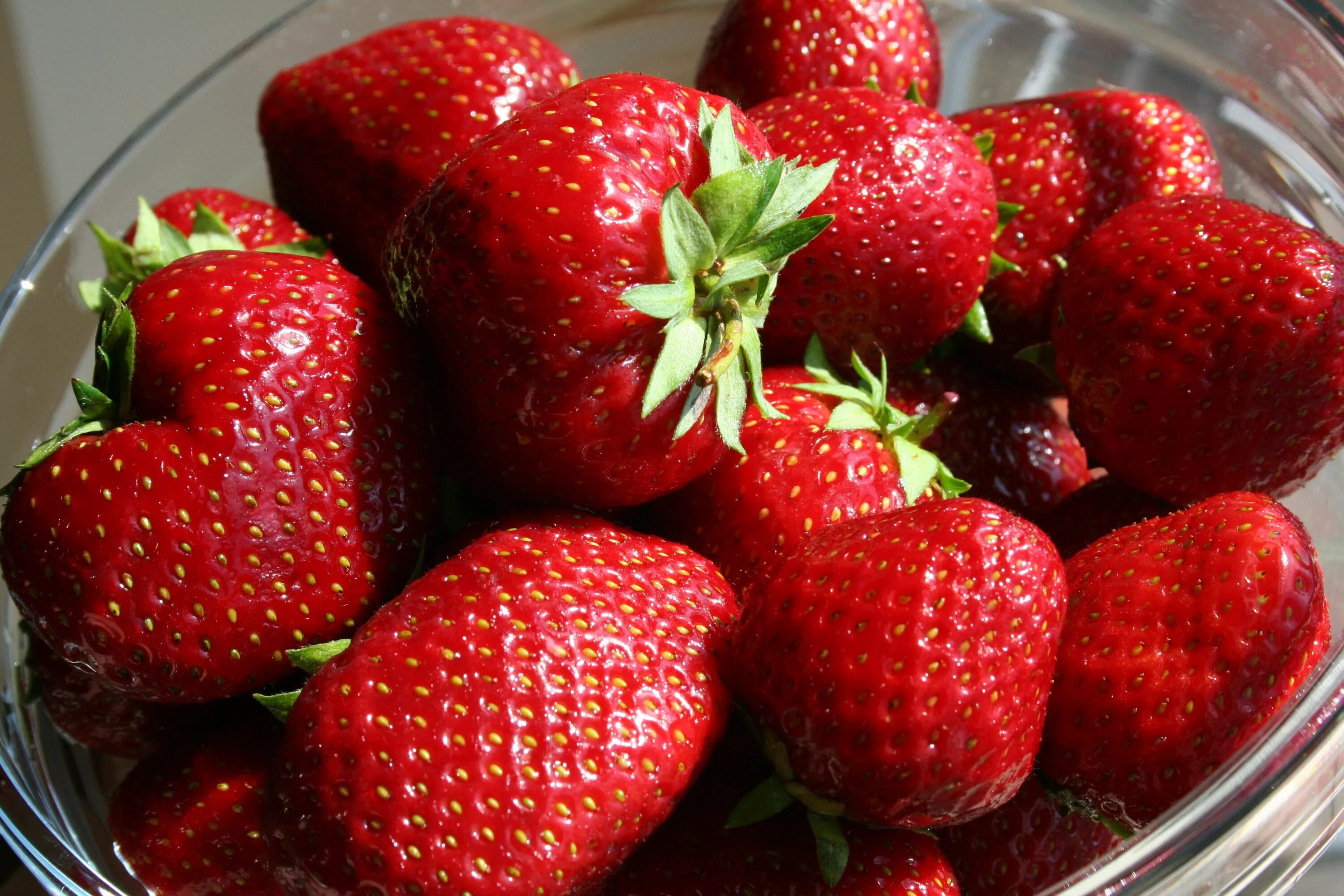 Клубника лучшие фото Strawberry Berry Red free image download