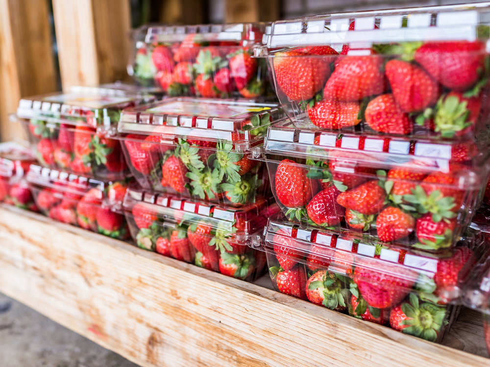 Клубника магазин фото 8 Money-Saving Ways To Reuse Single-Use Plastics - Chatelaine Reuse containers, 