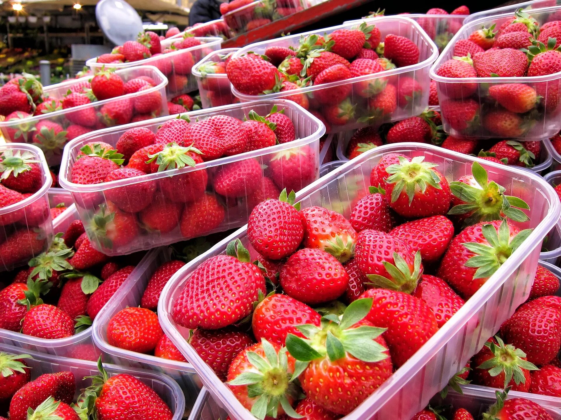 Клубника магазин фото Para um Produtor Líder em Berries, Antares Vision Group Digitalizou Bilhões de P