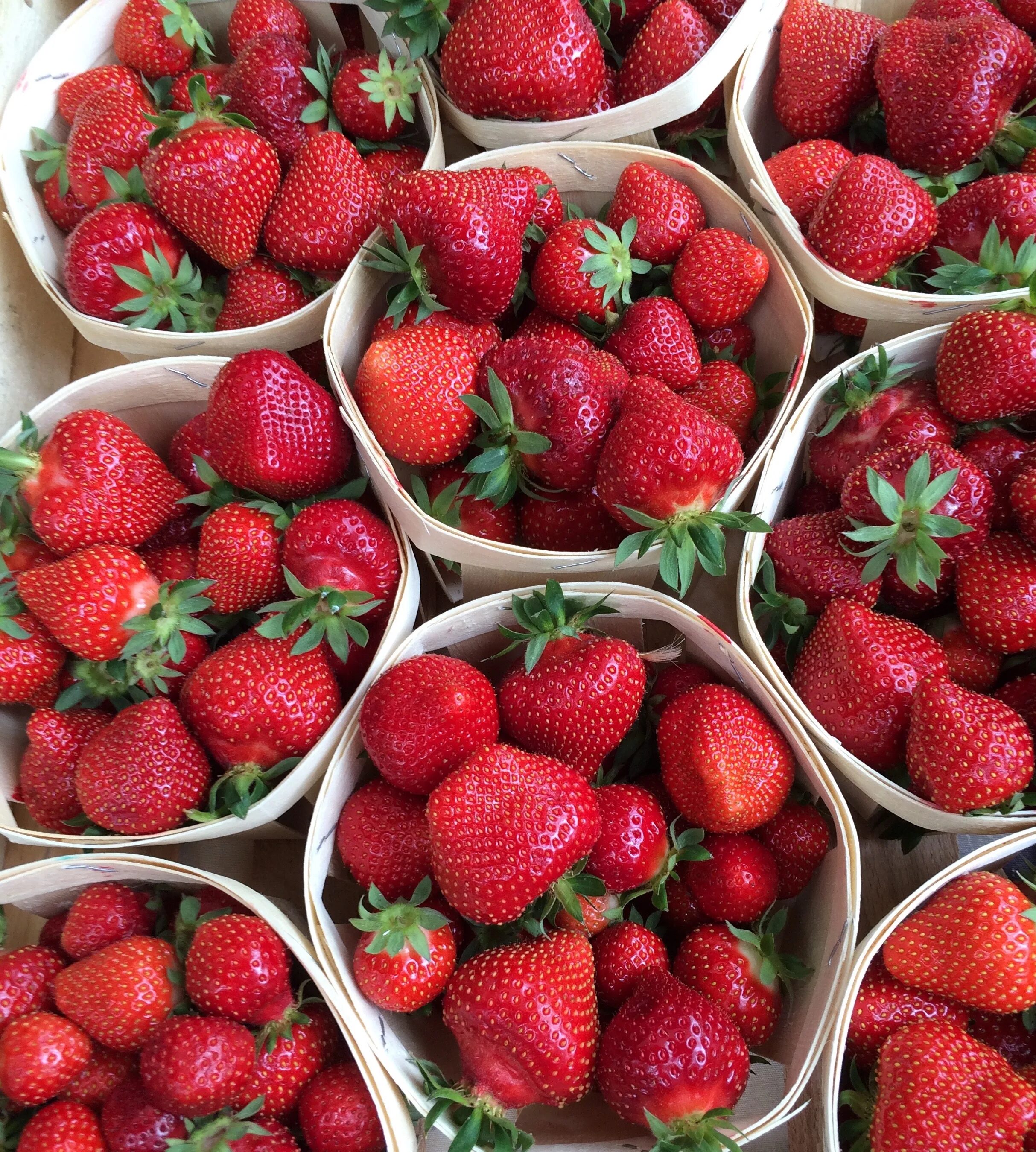 Клубника магазин фото Free Images : plant, fruit, berry, food, produce, fresh, market, garden, juicy, 