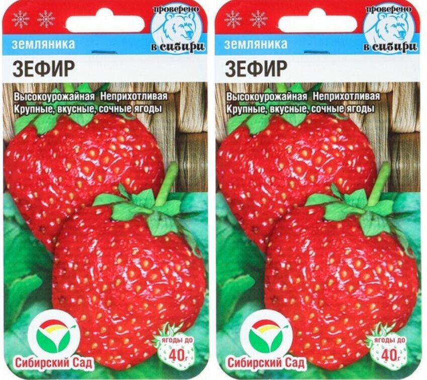 Клубника маршмеллоу описание сорта фото отзывы Земляника (клубника) Зефир 2 пакета по 10шт семян - купить в интернет-магазине п