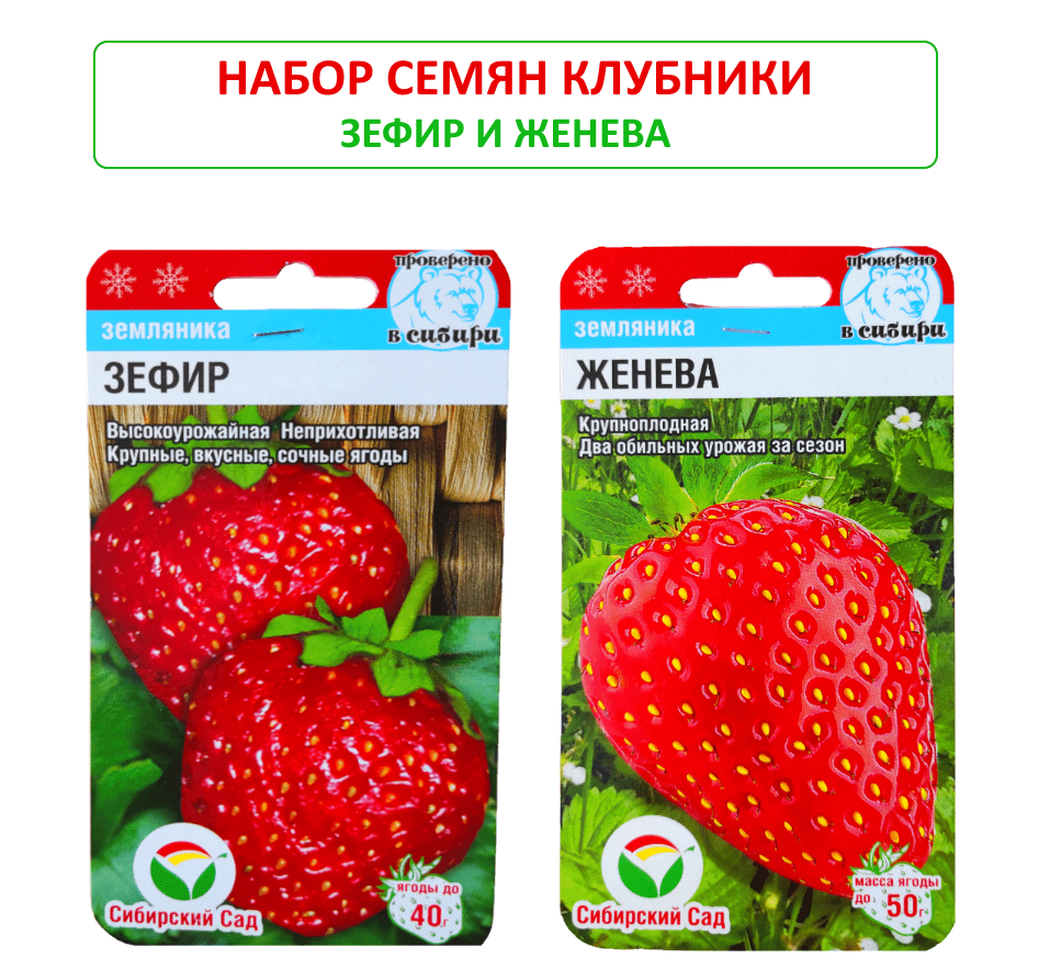 Клубника маршмеллоу описание сорта фото отзывы Набор семян клубники - купить по низкой цене на Яндекс Маркете