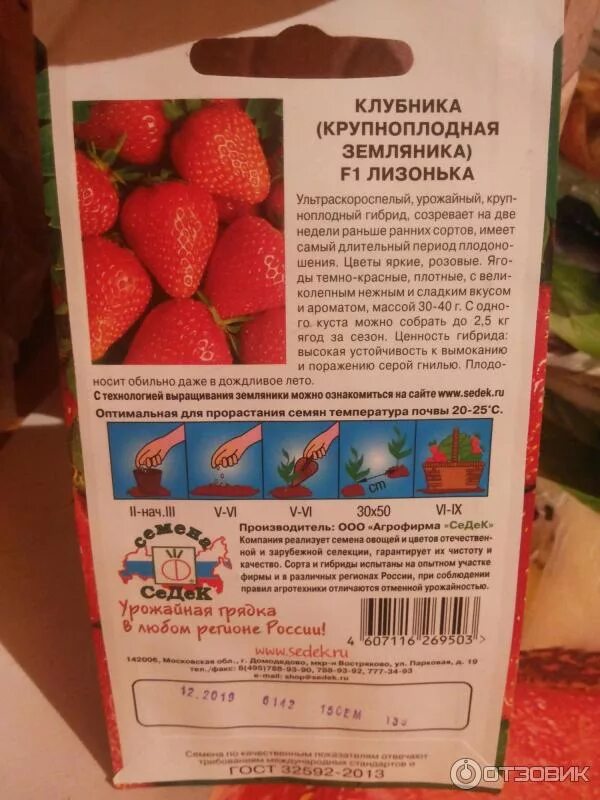 Клубника маршмеллоу описание сорта фото отзывы Отзыв о Семена клубники (крупноплодной земляники) Семена Седек "F1 Лизонька" Два
