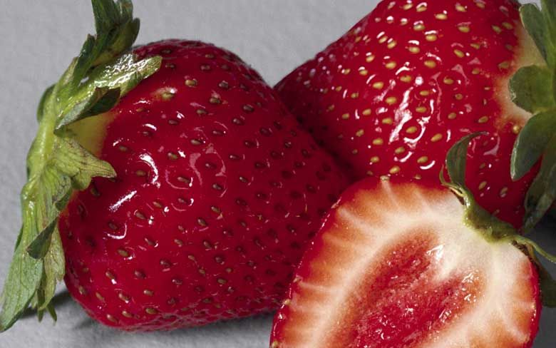 Клубника маша описание сорта фото Strawberry Growing Guide Growing strawberries, Organic gardening tips, Growing f