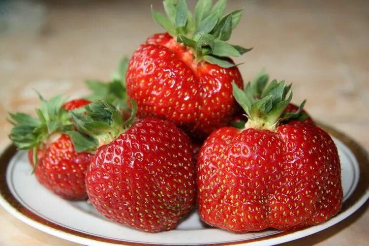 Клубника медовая фото Семена Клубника Медовое лето: описание сорта, фото - купить с доставкой или почт