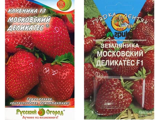 Клубника московский деликатес фото описание Клубника сорт Московский деликатес - описание, посадка, уход, отзывы