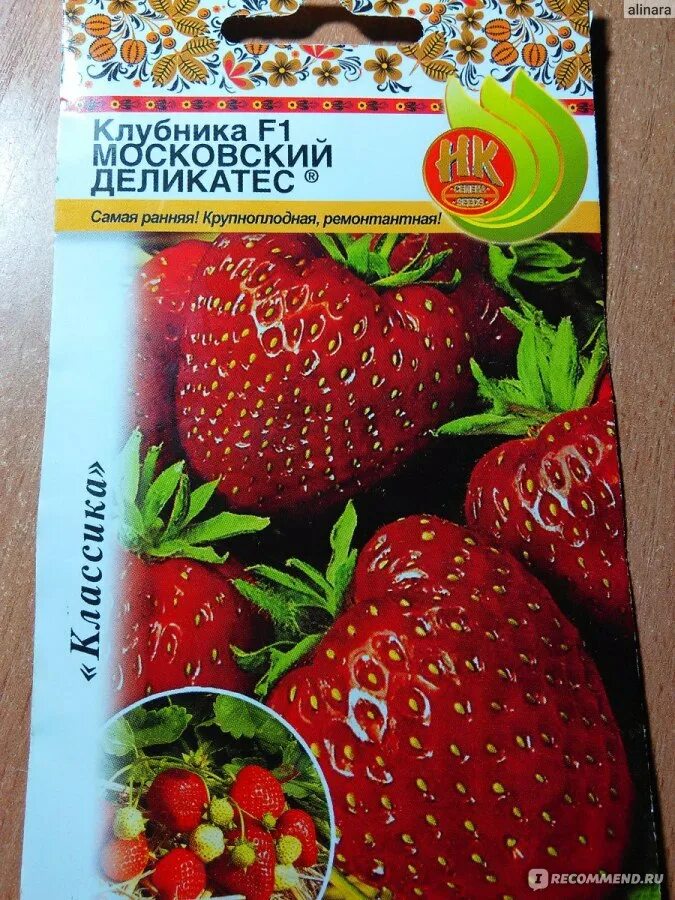 Клубника московский деликатес описание отзывы фото Земляника "Московский деликатес" - "Семена всходят очень хорошо при обязательной