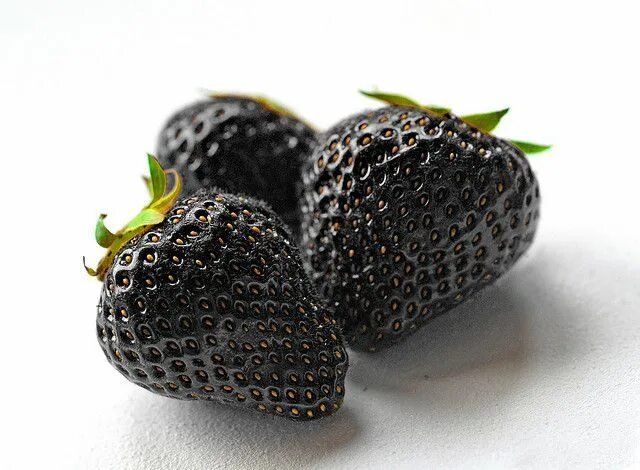 Клубника негритянка описание сорта фото Black Strawberries. Fruit, Black strawberry, Strawberry seed