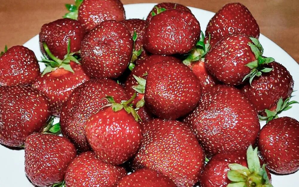 Клубника негритянка описание сорта фото Земляника Садовая Полка - купить рассаду и саженцы в интернет-магазине Лафа с до