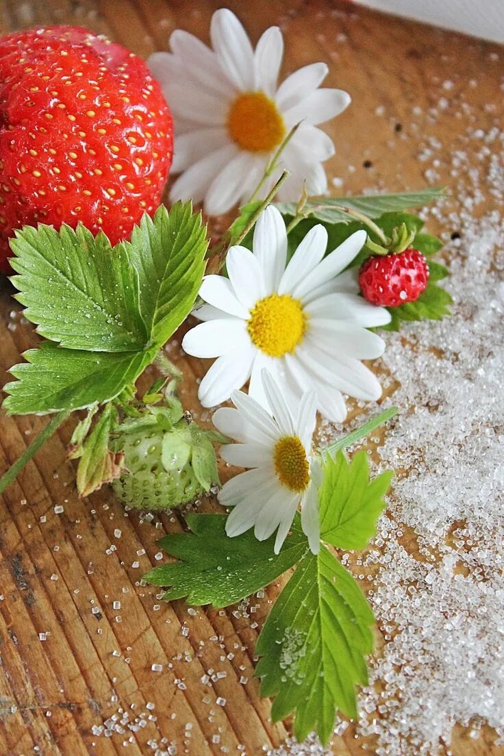 Клубника ромашка фото Rødt&Hvitt Beautiful flowers, Strawberry, Beautiful fruits