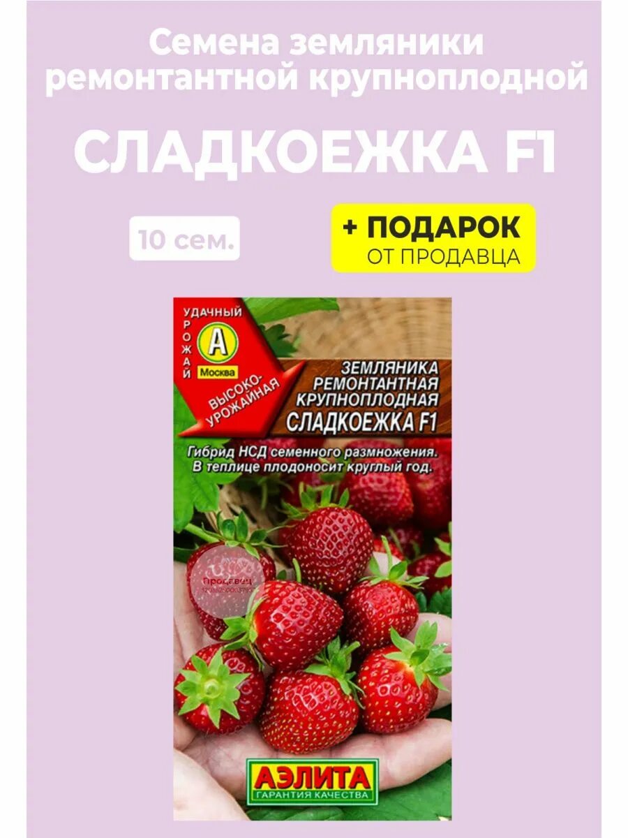 Клубника сладкоежка фото Семена земляника Сладкоежка Гипермаркет семян 103262984 купить за 224 ₽ в интерн