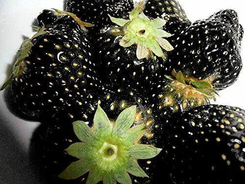 Клубника темные сорта фото Strawberry Black - 30 Seeds Black strawberry, Strawberry seed, Exotic fruit