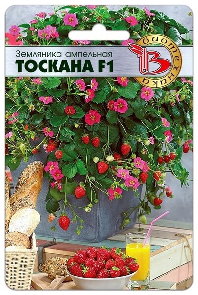 Клубника тоскана описание фото отзывы Семена Земляники ампельной "Тоскана" F1 (5 семян) - купить в интернет-магазине п