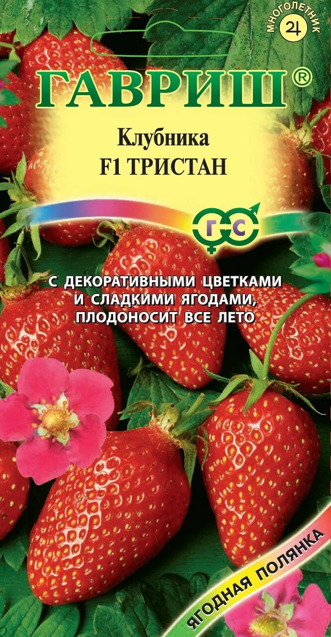 Клубника тристан фото ✔ Семена Земляника (Клубника) Тристан F1, ремонтантная, 5шт, Гавриш, Ягодная пол