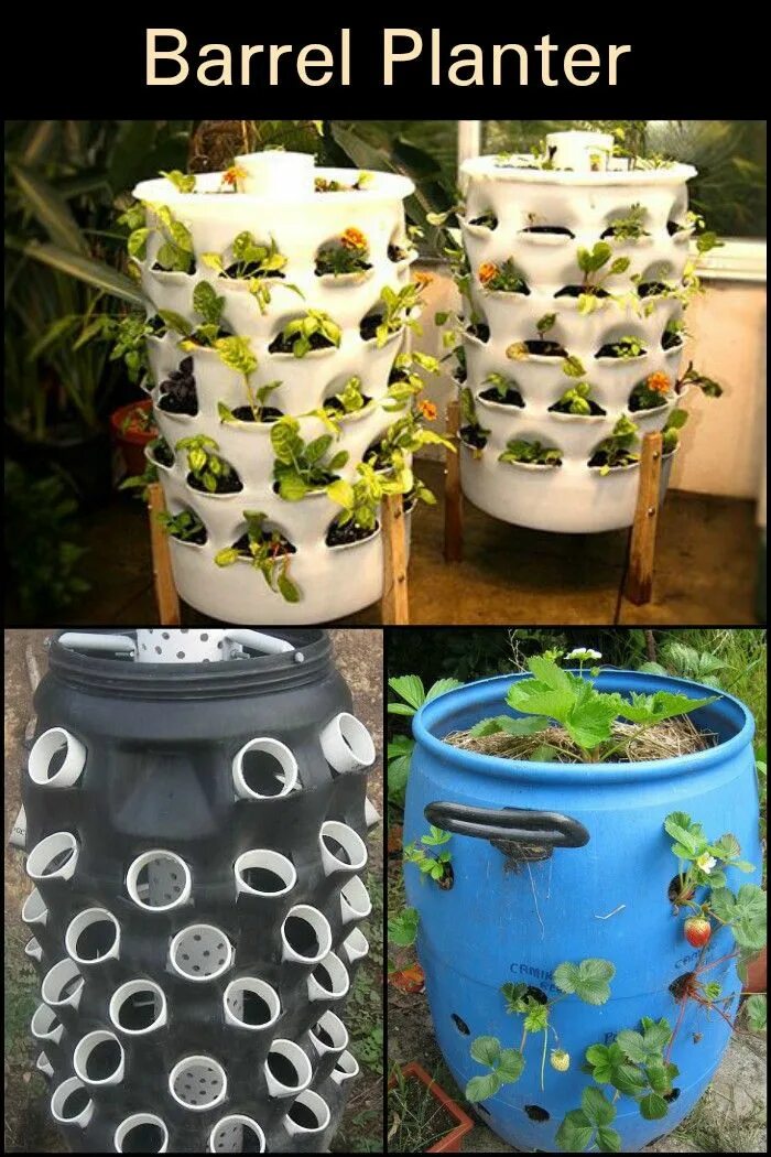 Клубника в бочках выращивание фото DIY Barrel Planter: 4 Easy Building Steps Vegetable garden design, Diy garden pr