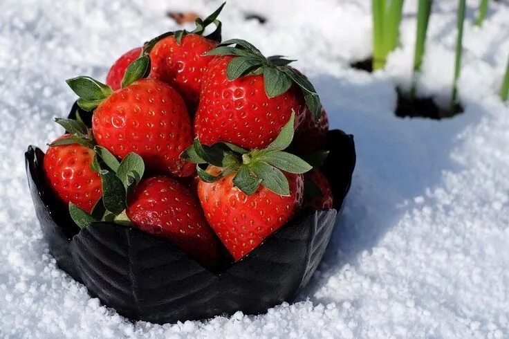 Клубника зимой фото Category Fruit Wallpaper Page High Resolution Strawberry health benefits, Strawb