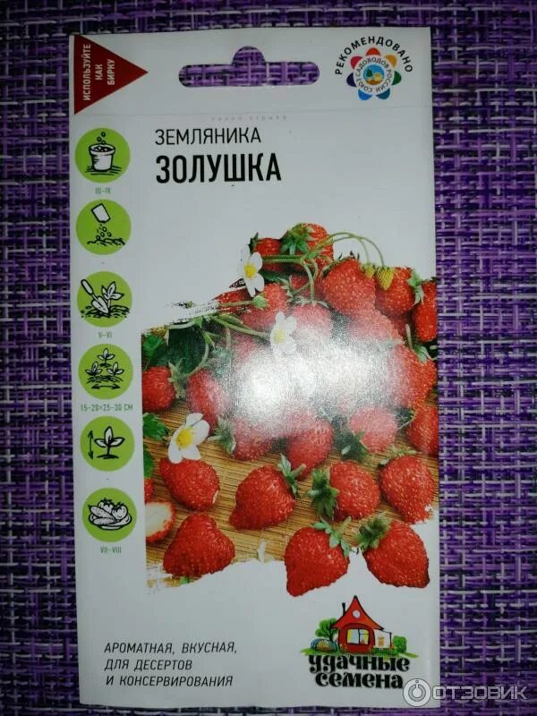 Клубника золушка описание сорта фото отзывы садоводов Отзыв о Семена земляники Удачные семена "Золушка" Очень плохо всходят