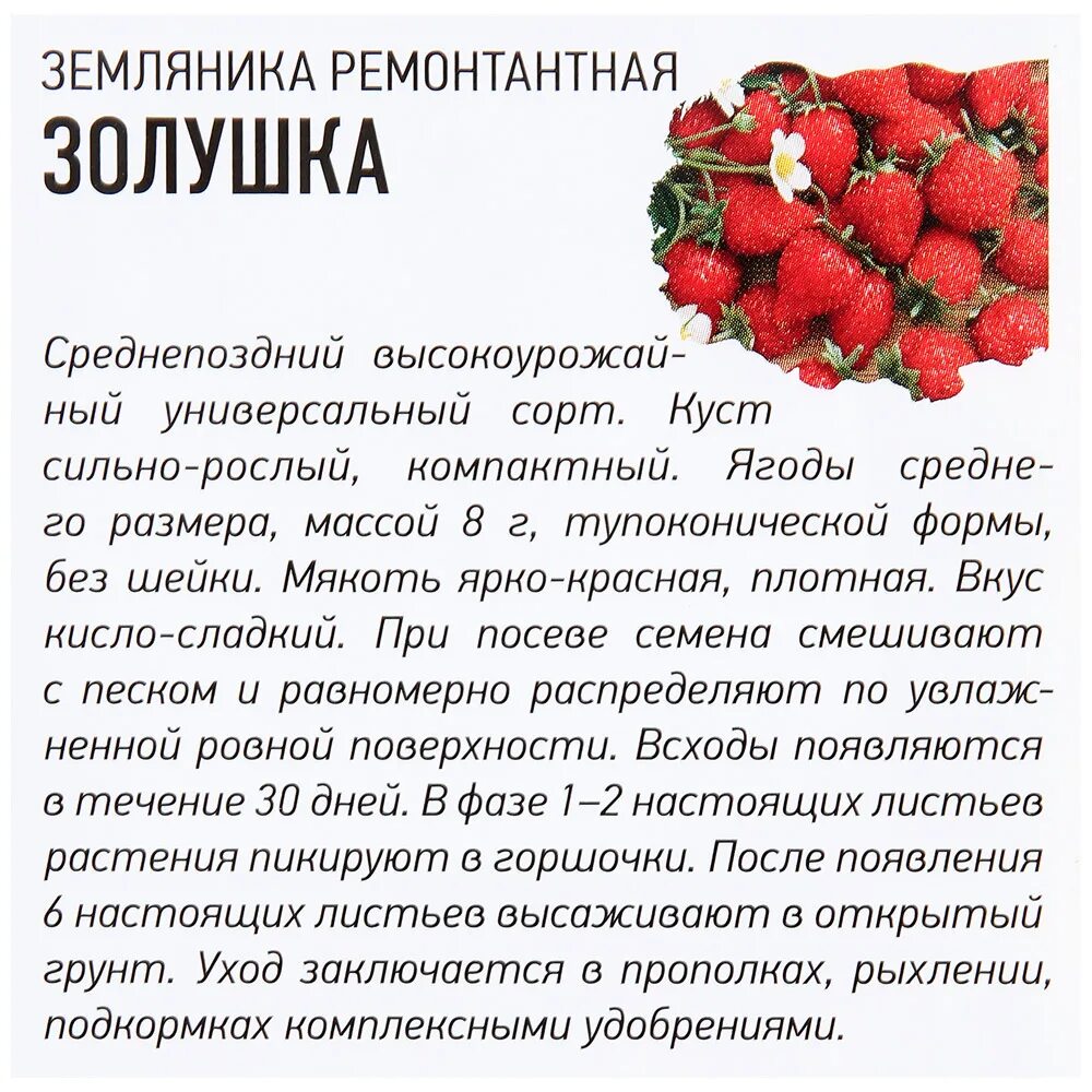 Клубника золушка описание сорта фото отзывы садоводов Клубника Золушка: описание сорта и характеристики, правила выращивания и ухода