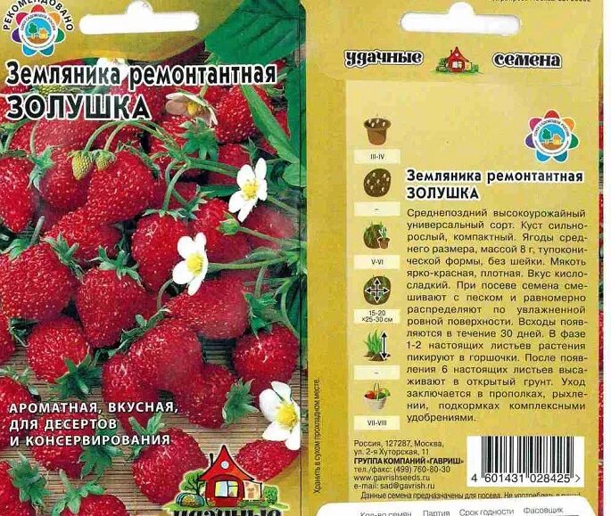Клубника золушка описание сорта фото отзывы садоводов Земляника Золушка: описание сорта, фото, отзывы