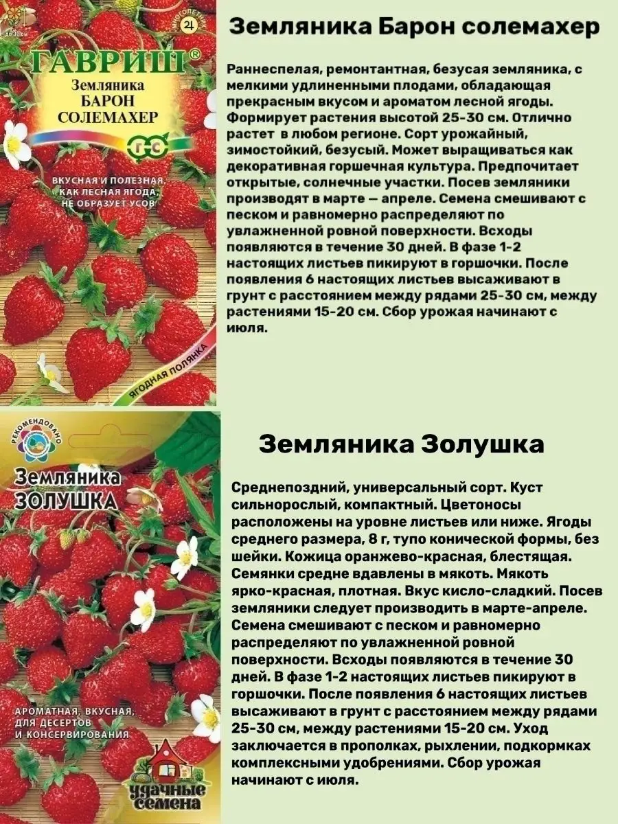 Клубника золушка описание сорта фото отзывы садоводов Сорта земляники безусой ремонтантной фото