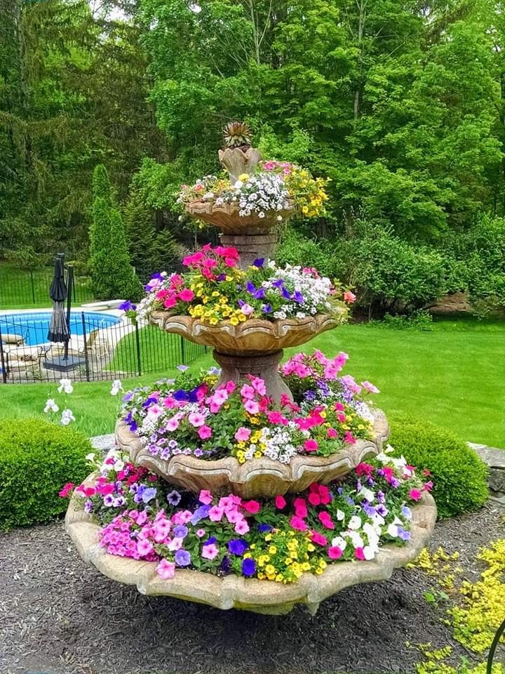 Клумба фонтан фото Pin by ♥ Tonia Love ♥ on ♥ Sweet home & gardens ♥ Beautiful flowers garden, Gard