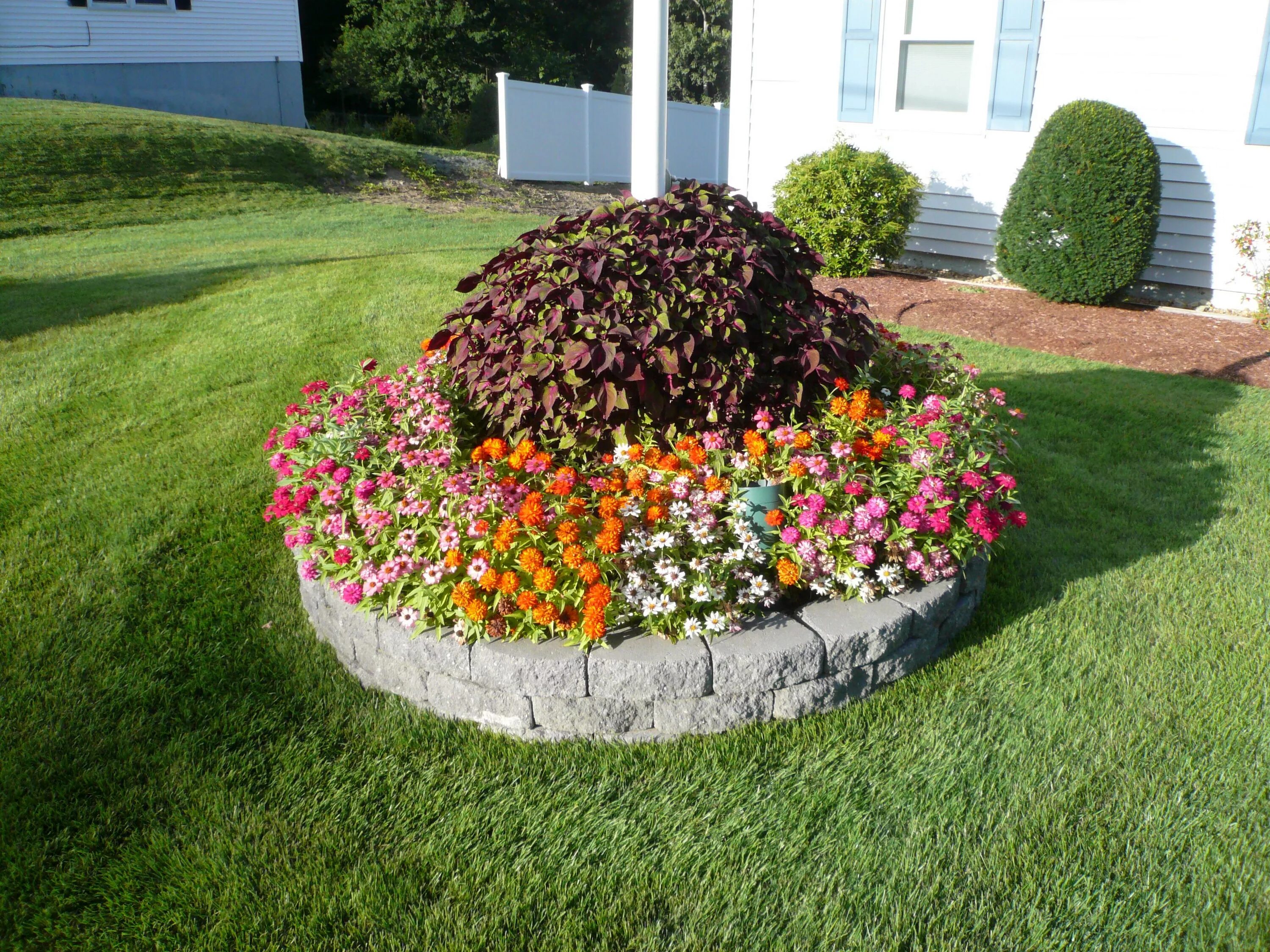 Клумба фото Flagpole flowers Parterre de fleurs, Roche aménagement paysager, Amenagement cou