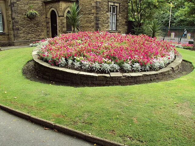 Клумба фото дизайн File:Flowerbed, Hesketh Park 1.JPG - Wikimedia Commons