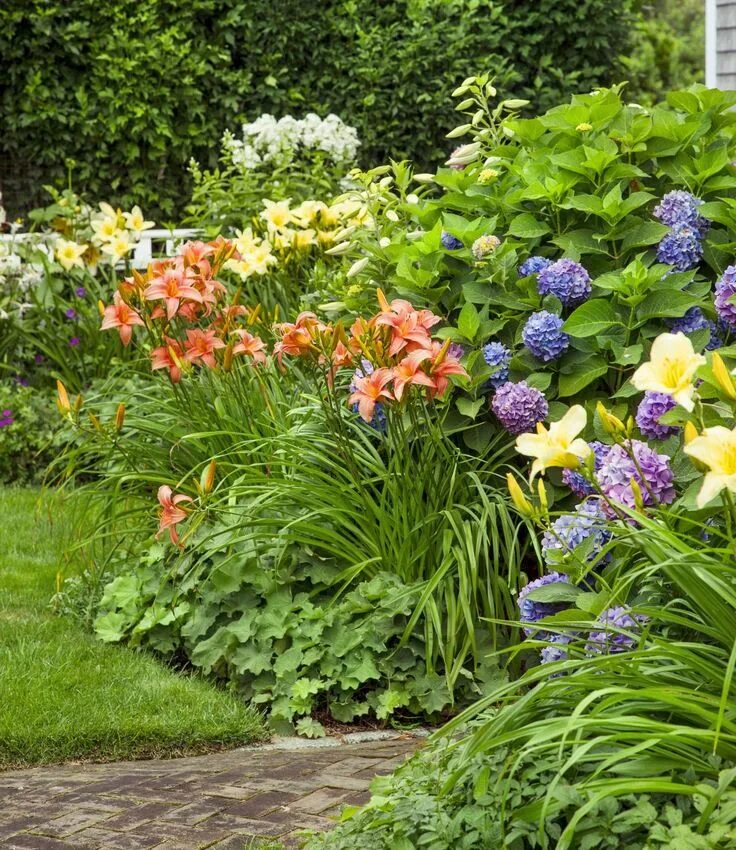 Клумба из хосты и лилейника фото A Nantucket Cottage Garden Finds its Sweet Spot Daylily garden, Cottage garden p