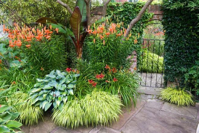 Клумба из хосты и лилейника фото A Shade Loving Border Idea with Hemerocallis, Hosta and Tiger Lilies Hosta garde