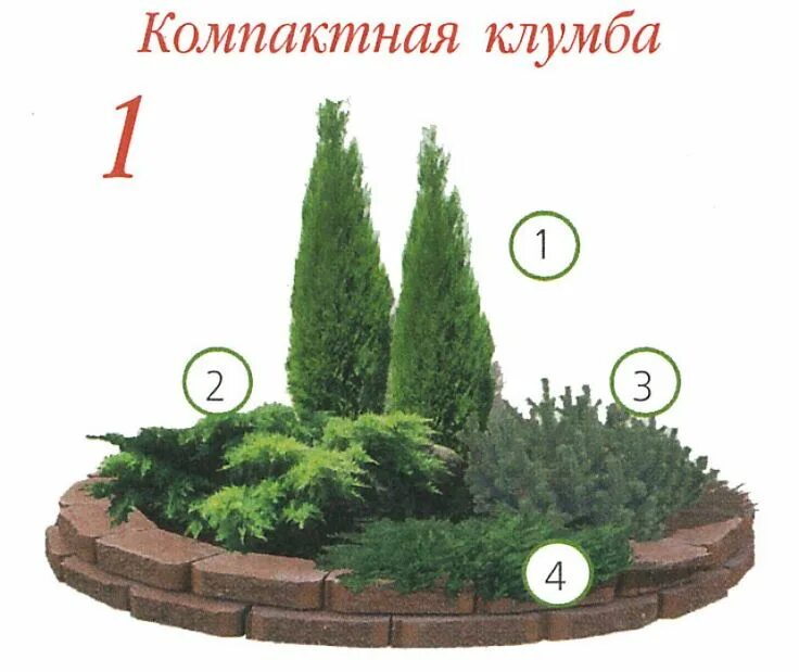 Клумба из хвойников схема и фото 12 вариантов хвойной клумбы Garden flower beds, Evergreen garden, Garden plannin