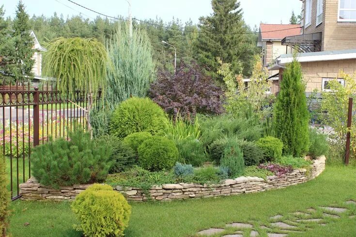 Клумба из хвойных и кустарников фото Картинки по запросу миксбордер Landscaping shrubs, Garden design, Garden flower 