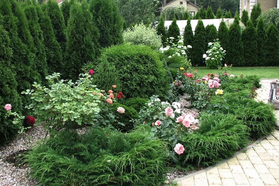 Клумба из хвойных и кустарников фото Пин на доске Garden Ideas Небольшие цветники, Клумбы, Идеи озеленения