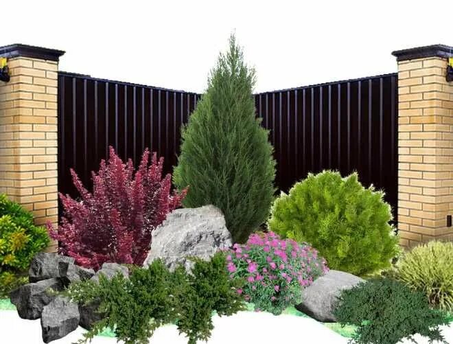Клумба из хвойных и кустарников фото Полезное для дачи Outdoor gardens design, Backyard garden design, Garden design