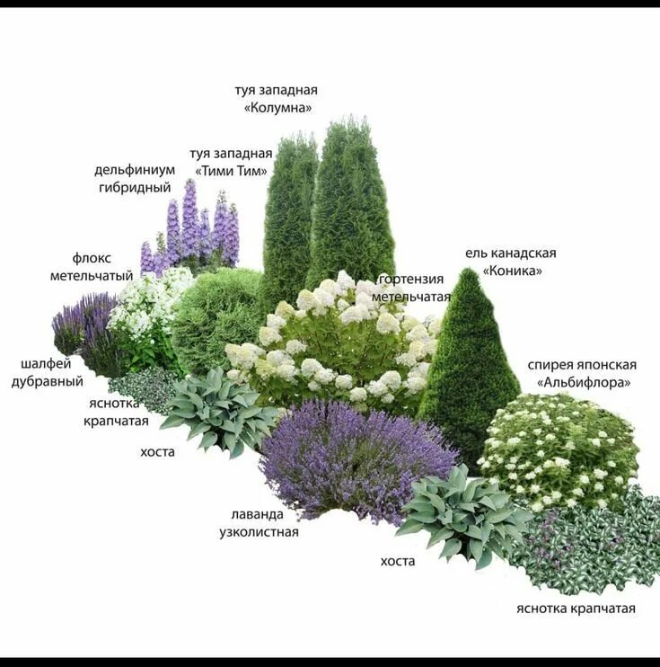 Клумба из хвойных растений фото и схема Front Yard Garden Design with Labeled Flowers and Shrubs