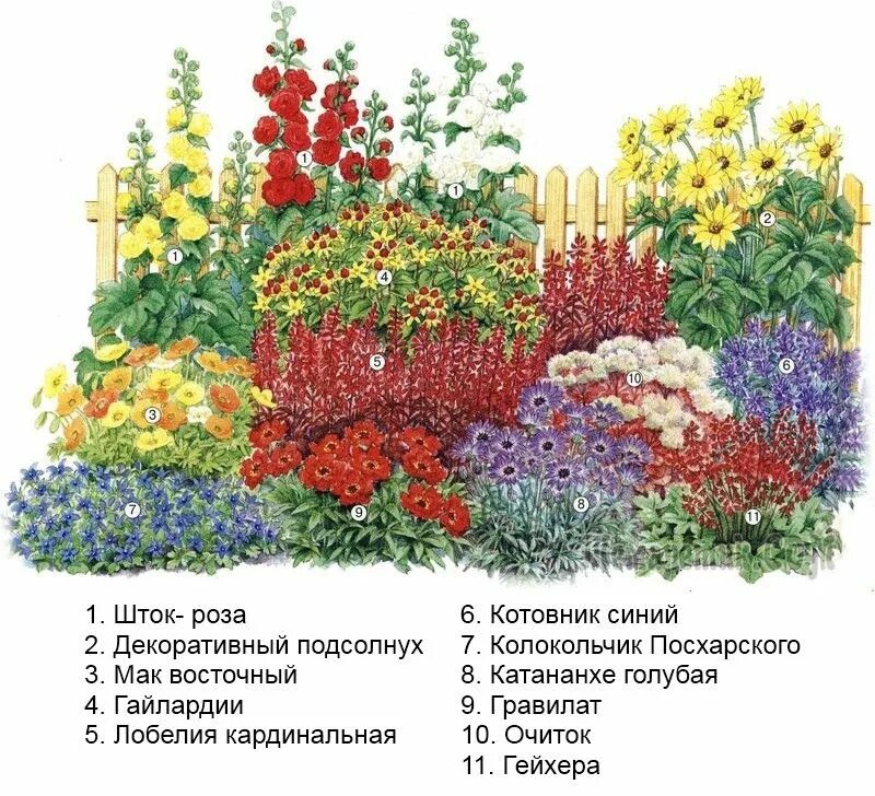 Клумба из многолетников для начинающих фото Пин на доске клумба в 2024 г Цветник, Клумбы, Цветоводство