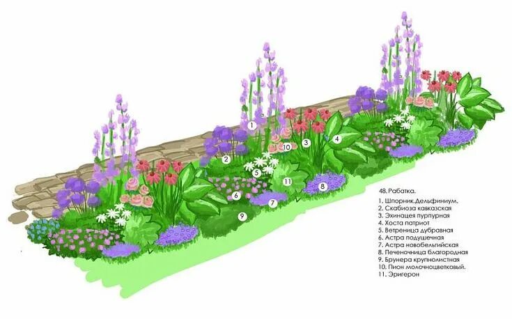 Клумба из многолетников для начинающих фото Клумбы из многолетников: названия цветов, схемы и фото Blumenbeet anlegen, Blume