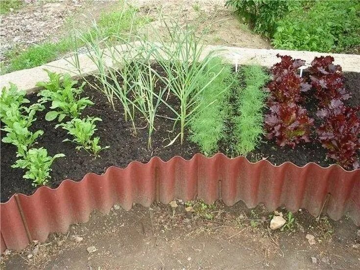 Клумба из шифера фото Грядки из профлиста своими руками. 10 фото
