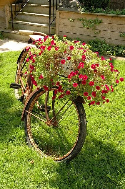 Клумба из велосипеда своими руками фото Bicycle Flowers Ciclismo, Flor de jardinagem, Decoração jardim