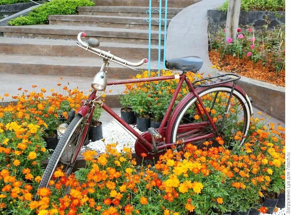 Клумба из велосипеда своими руками фото Pin by Людмила Ланина on Преобразим велосипед. Bicycle, Flowers, Bike