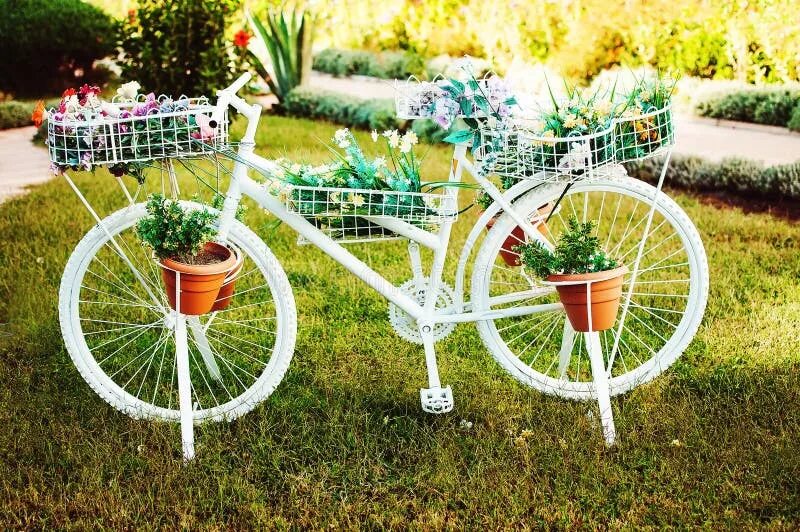 Клумба из велосипеда своими руками фото Decorative White Colored Bike with Flower Stock Photo - Image of blossom, bicycl