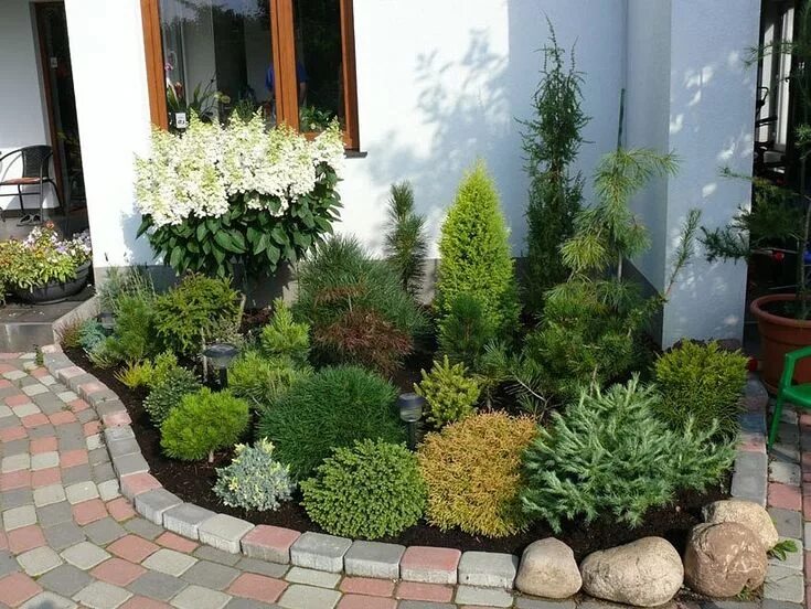 Клумба из зеленых растений фото Pin on Для сада Shrubs for landscaping, Small front yard landscaping, Evergreen 