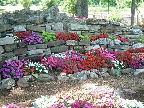 Клумба каскадная с камня своими руками фото rock gardens Rock garden design, Shade garden plants, Shade garden