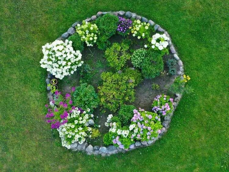 Клумба круглая фото Créer un parterre de fleurs rond : idées et conseils à suivre